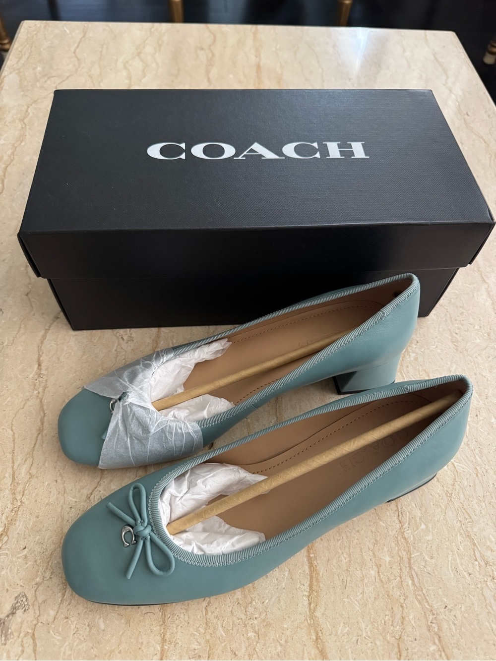 NWT COACH AVA Leather Ballet Pump.